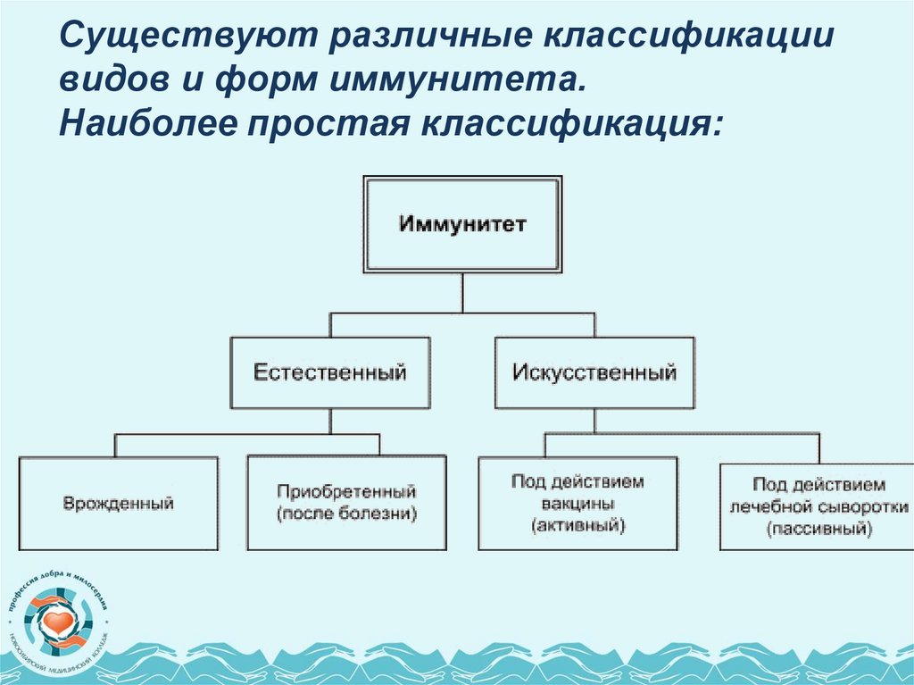 Существуют различные классификации видов и форм иммунитета. Наиболее простая классификация: