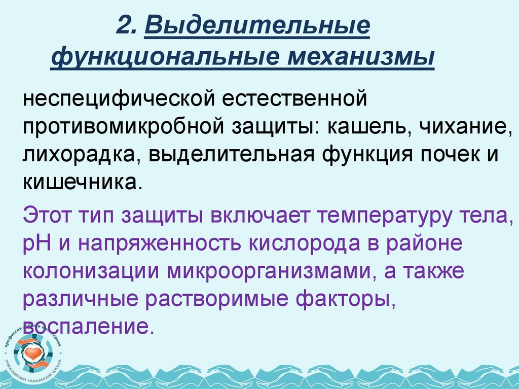 2. Выделительные функциональные механизмы