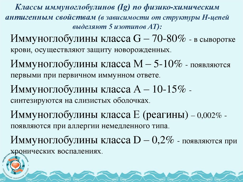 Классы иммуноглобулинов (Ig) по физико-химическим антигенным свойствам (в зависимости от структуры Н-цепей выделяют 5 изотипов
