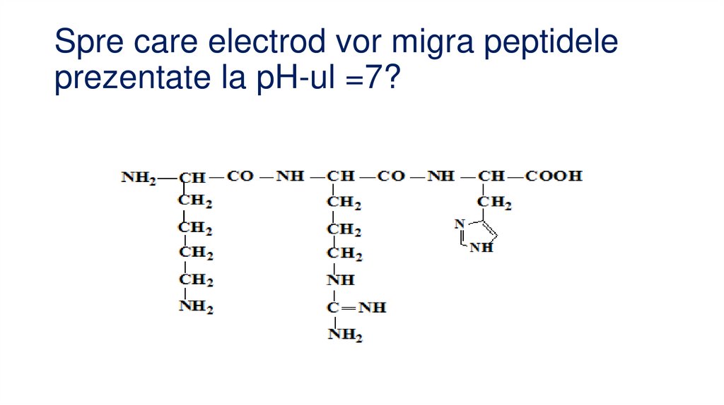 Spre care electrod vor migra peptidele prezentate la pH-ul =7?