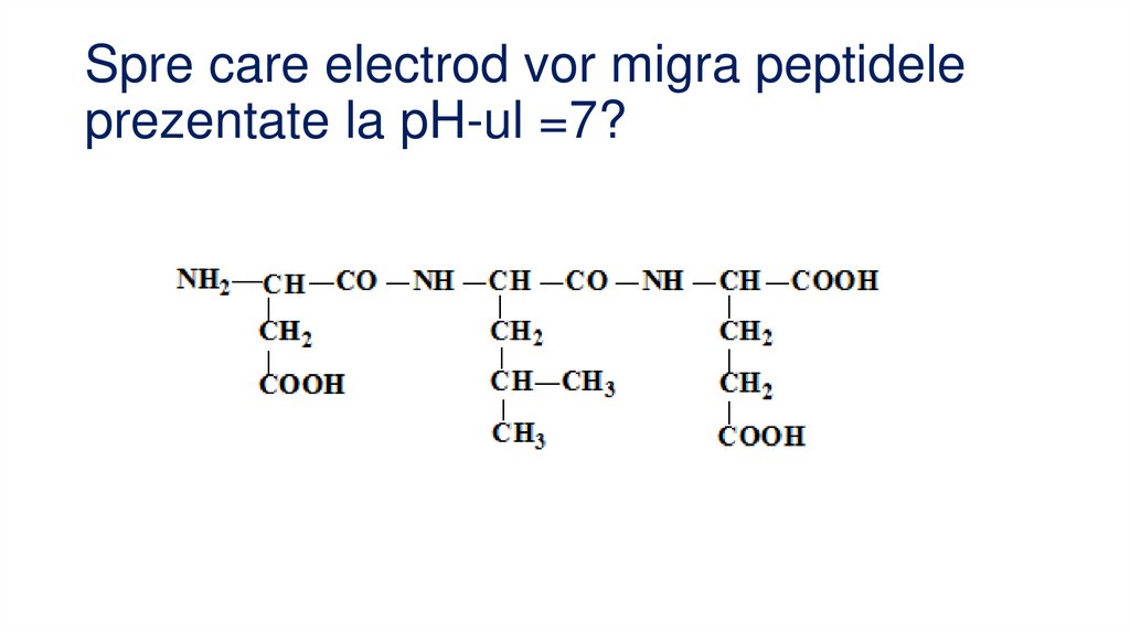 Spre care electrod vor migra peptidele prezentate la pH-ul =7?