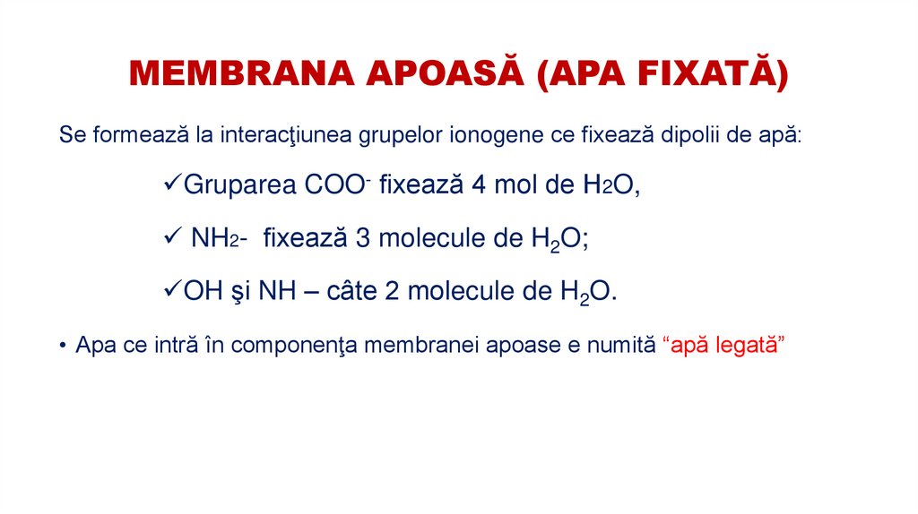 MEMBRANA APOASĂ (APA FIXATĂ)