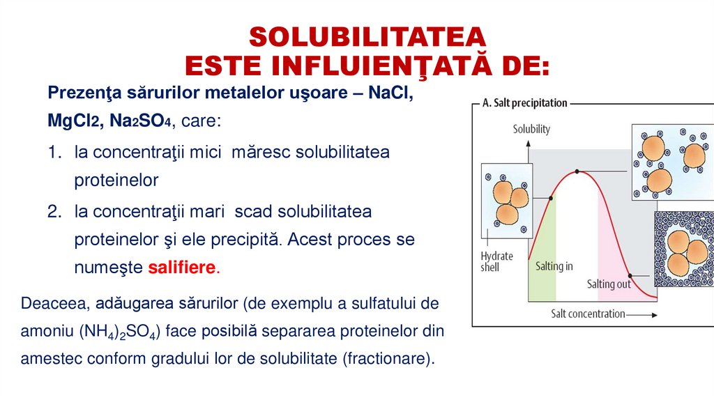 SOLUBILITATEA ESTE INFLUIENŢATĂ DE: