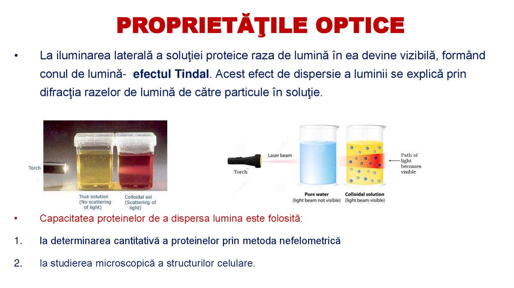 PROPRIETĂŢILE OPTICE