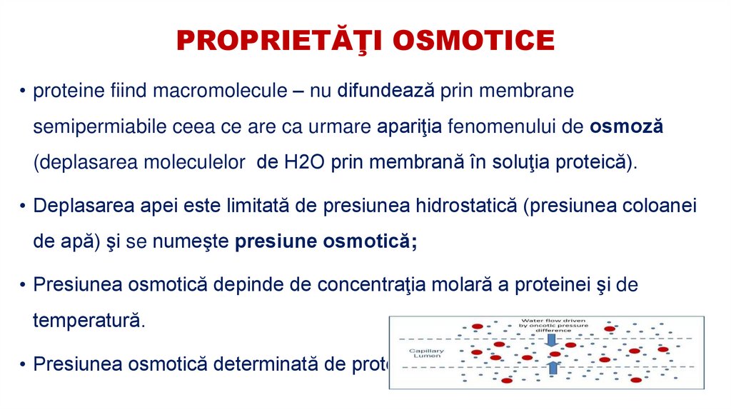 PROPRIETĂŢI OSMOTICE