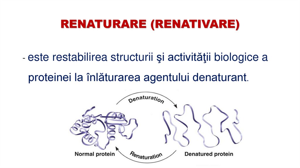 RENATURARE (RENATIVARE)