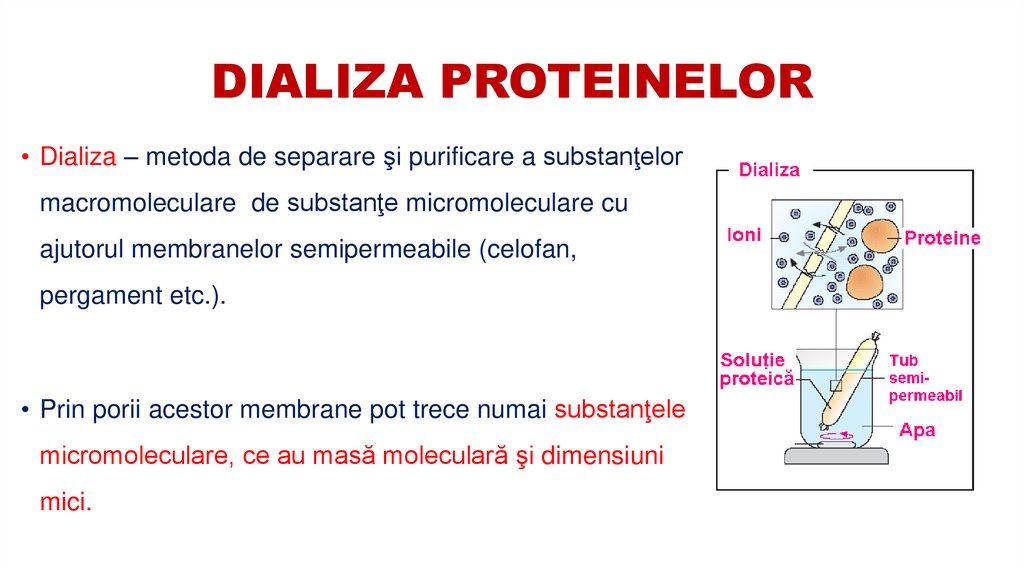 DIALIZA PROTEINELOR