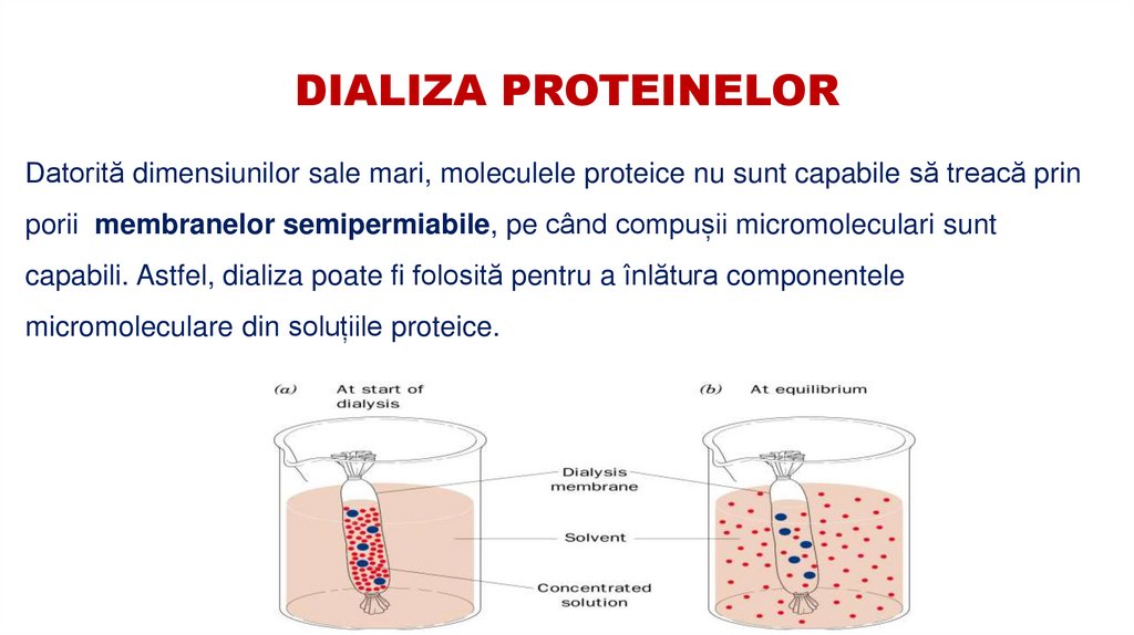 DIALIZA PROTEINELOR
