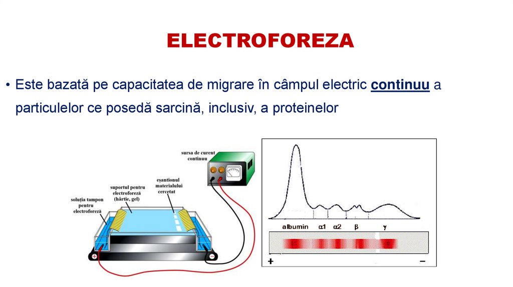 ELECTROFOREZA