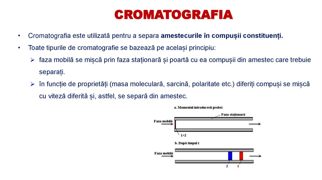 CROMATOGRAFIA