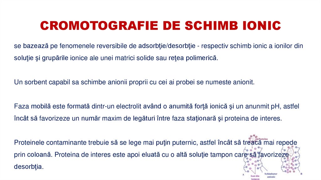 CROMOTOGRAFIE DE SCHIMB IONIC