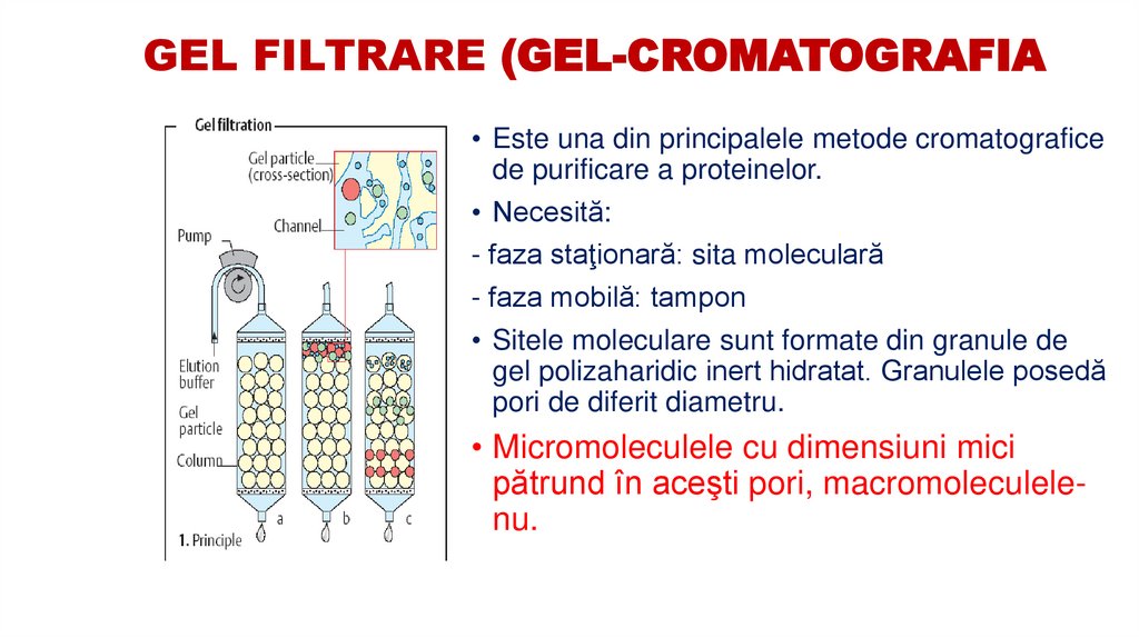 GEL FILTRARE (GEL-CROMATOGRAFIA