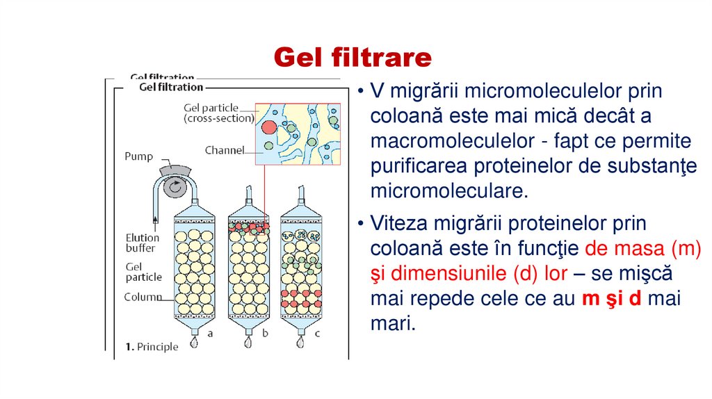 Gel filtrare