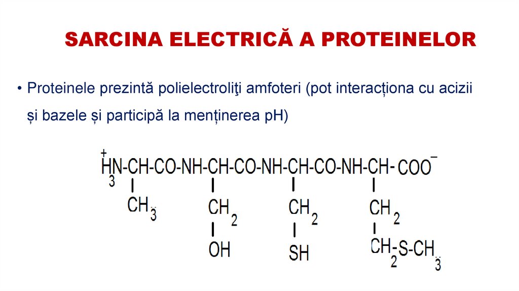 SARCINA ELECTRICĂ A PROTEINELOR