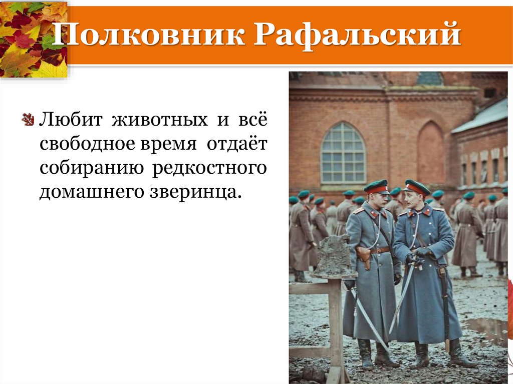 Полковник Рафальский