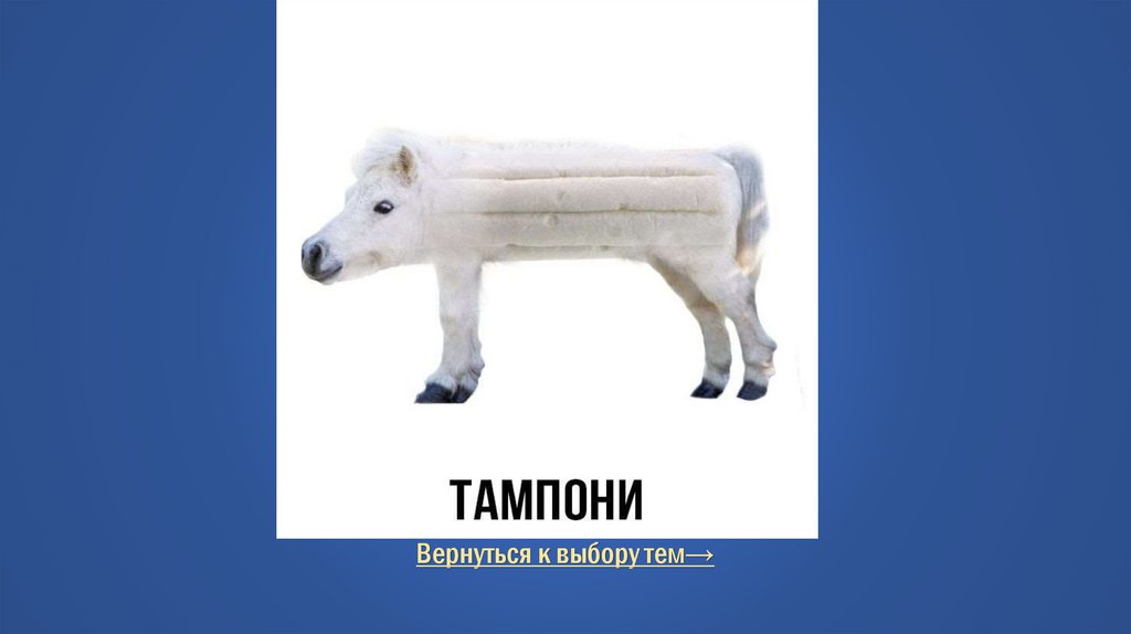 Правильный ответ Тупые каламбуры для тупых/ Вопрос за 800