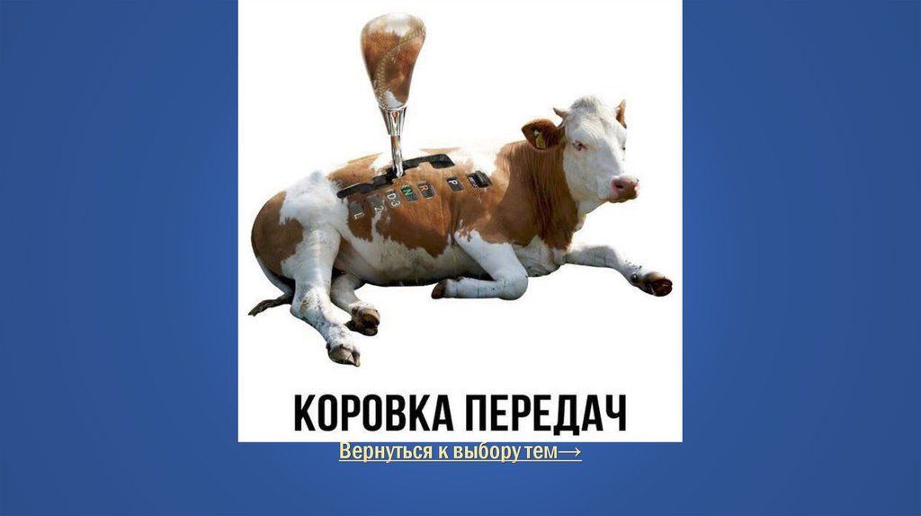 Правильный ответ Тупые каламбуры для тупых / Вопрос за 1000