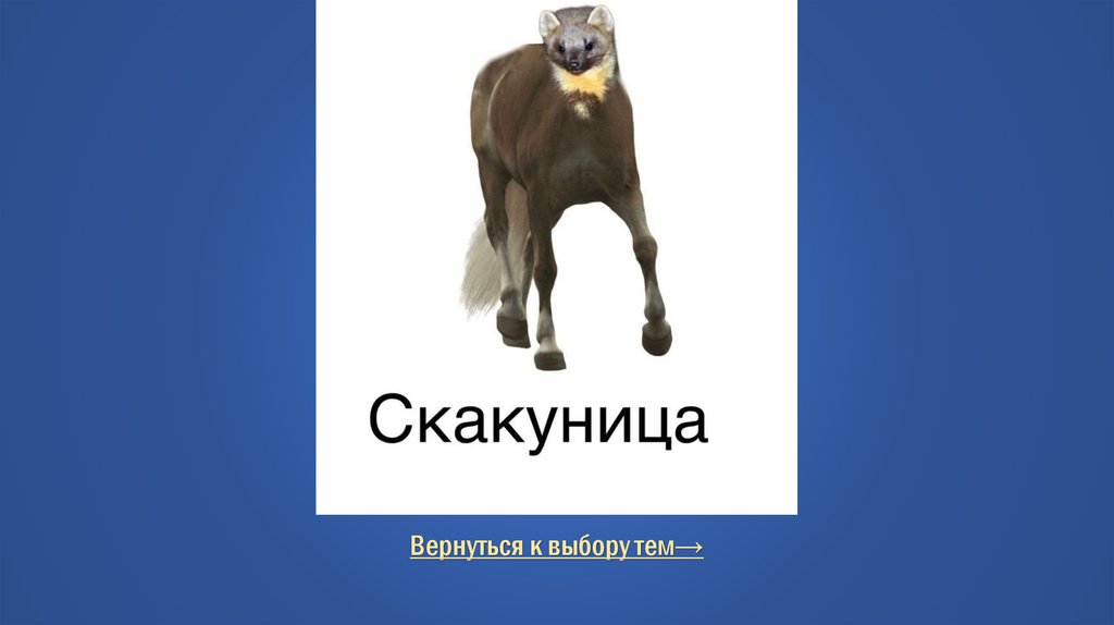 Правильный ответ Тупые каламбуры для тупых / Вопрос за 1200