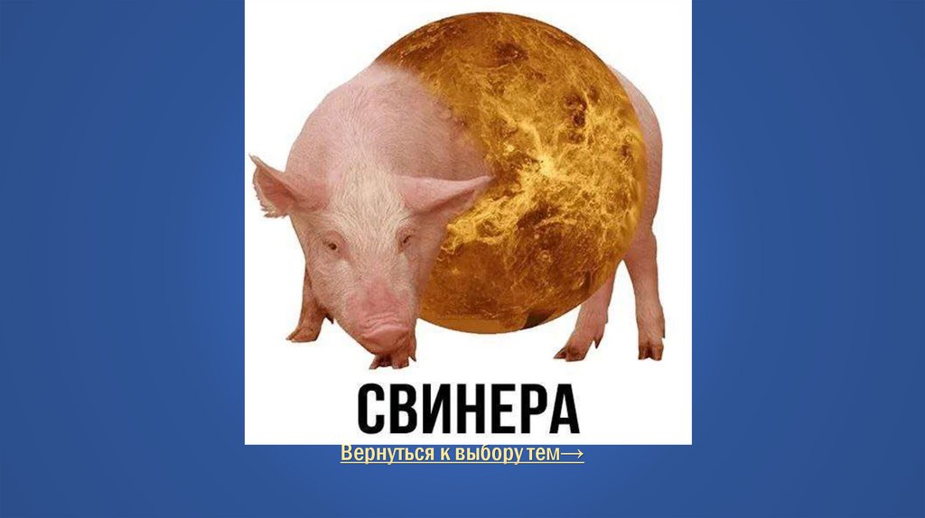 Правильный ответ Тупые каламбуры для тупых / Вопрос за 1500