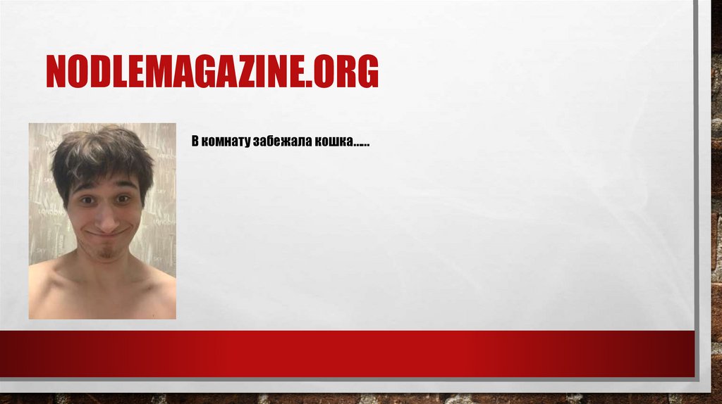 nodlemagazine.org