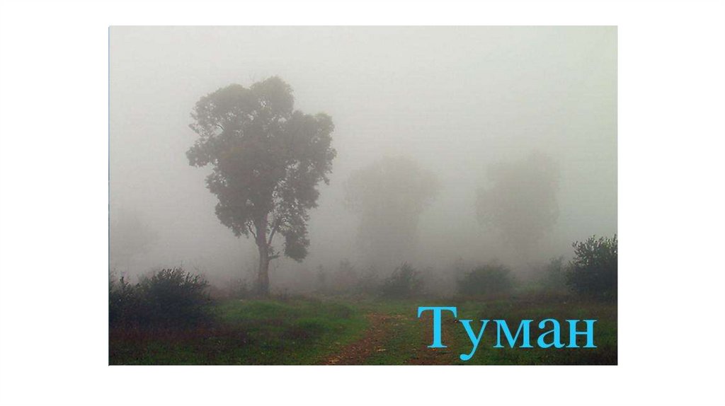 ТУМАН