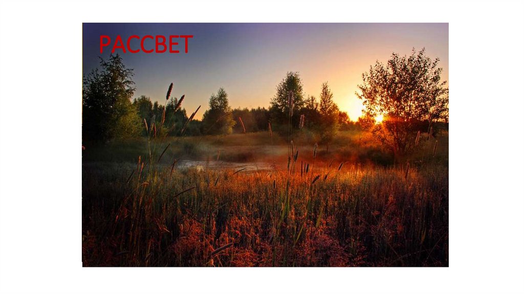 РАССВЕТ