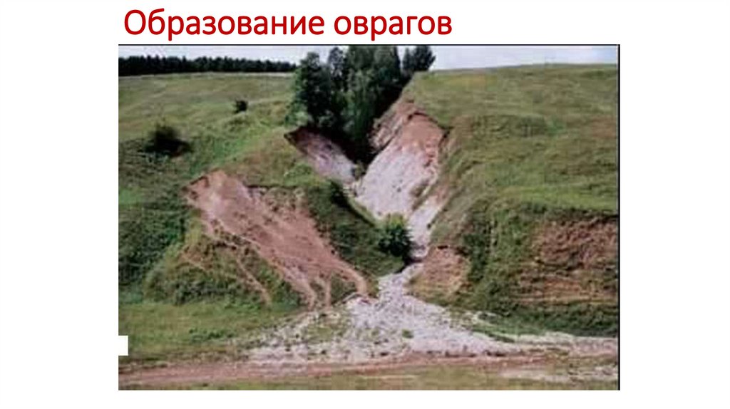 Образование оврагов