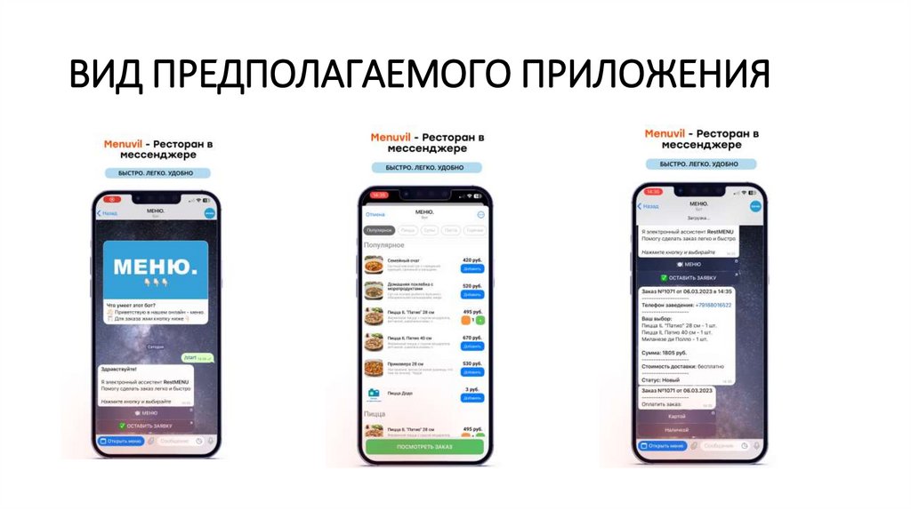 ВИД ПРЕДПОЛАГАЕМОГО ПРИЛОЖЕНИЯ