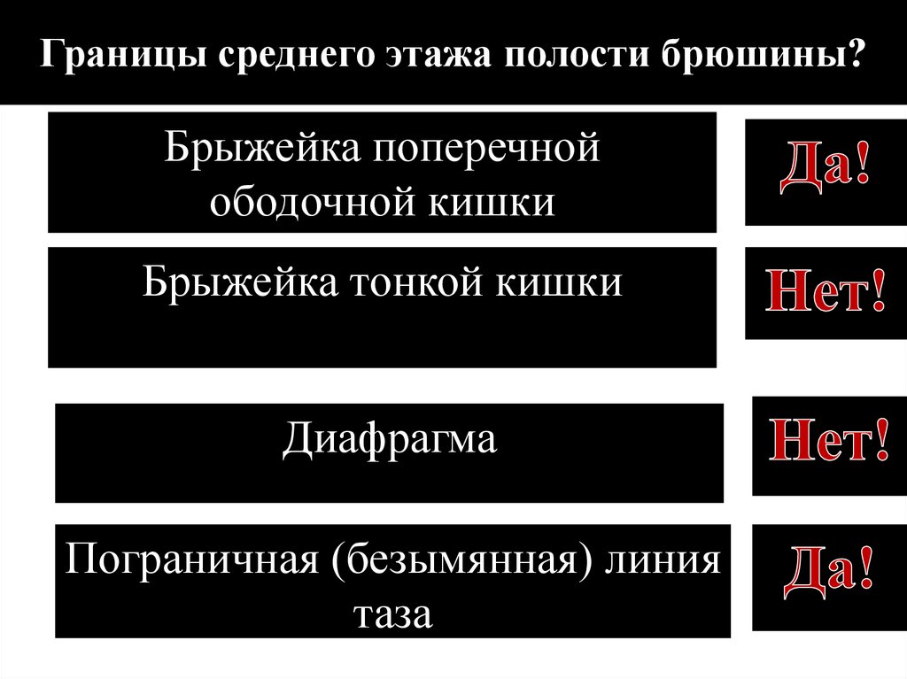 Границы среднего этажа полости брюшины?