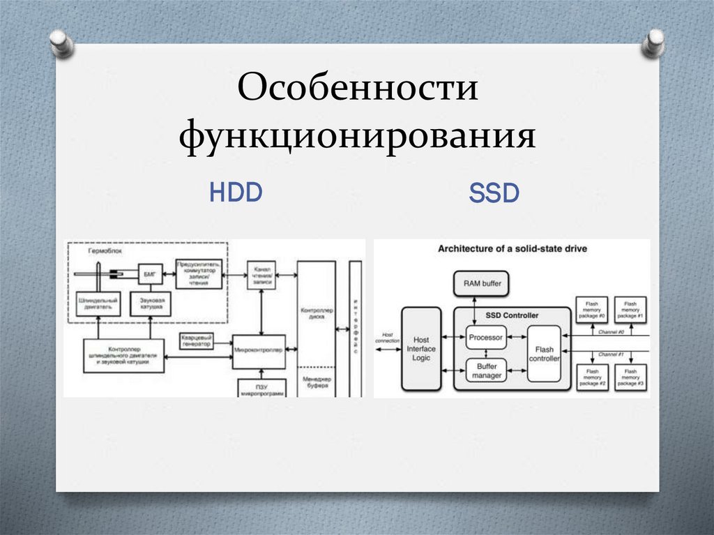 Особенности функционирования
