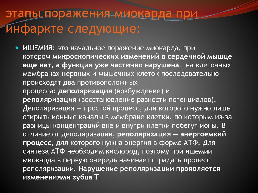 этапы поражения миокарда при инфаркте следующие: