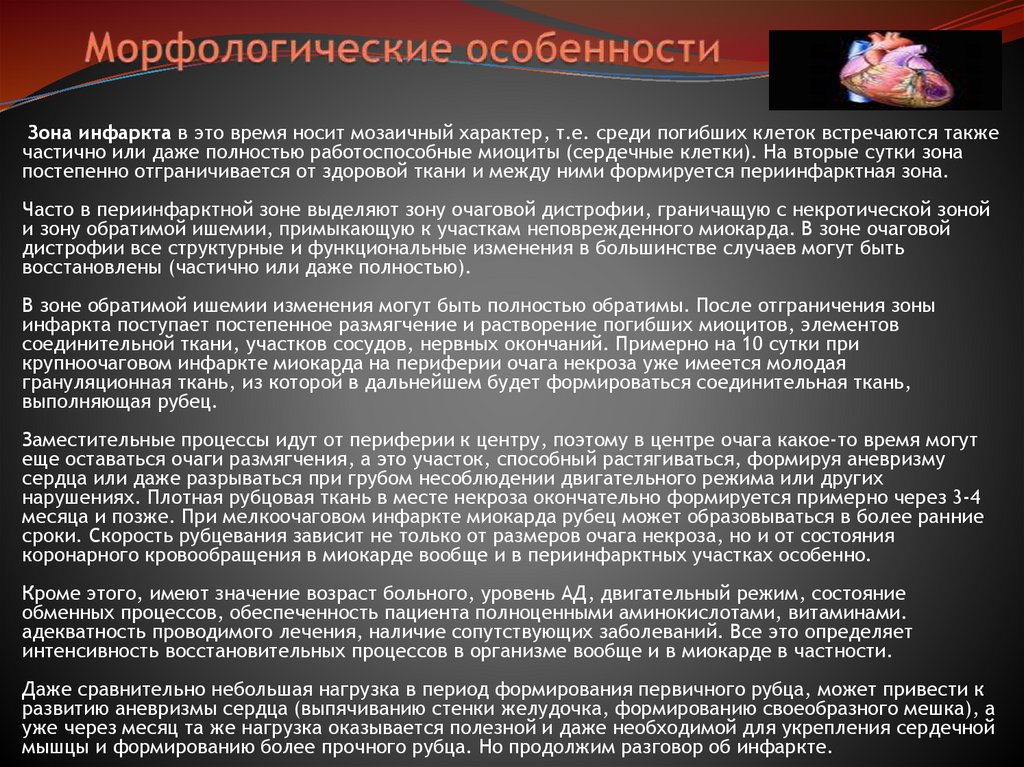 Морфологические особенности