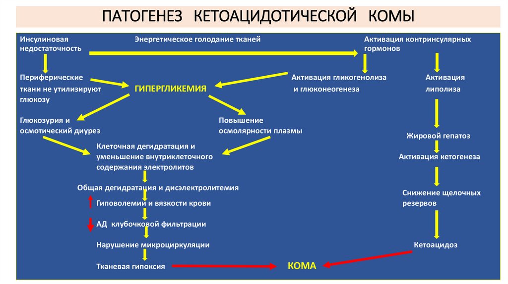ПАТОГЕНЕЗ КЕТОАЦИДОТИЧЕСКОЙ КОМЫ