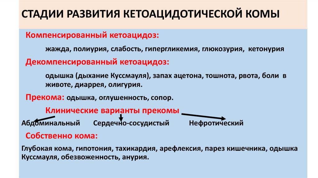 СТАДИИ РАЗВИТИЯ КЕТОАЦИДОТИЧЕСКОЙ КОМЫ