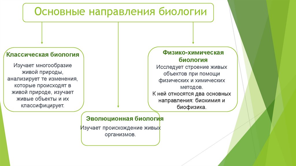 Основные направления биологии