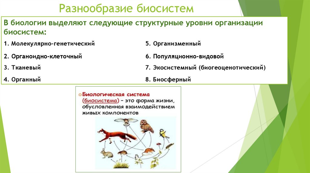 Разнообразие биосистем