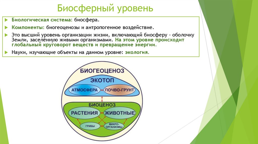 Биосферный уровень