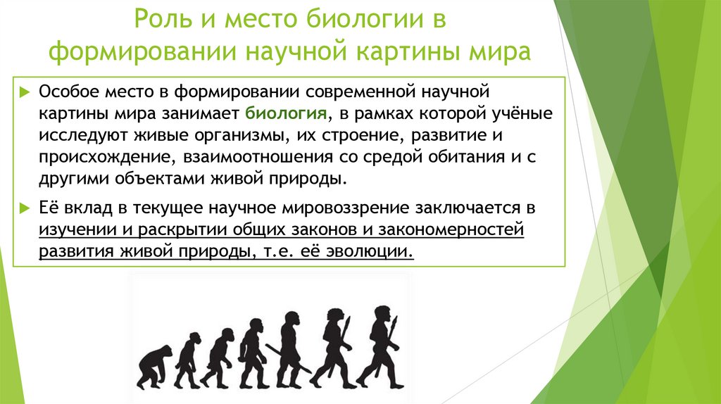 Роль и место биологии в формировании научной картины мира