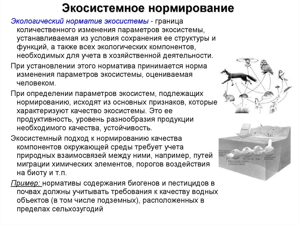 Экосистемное нормирование