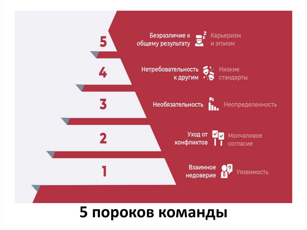 5 пороков команды