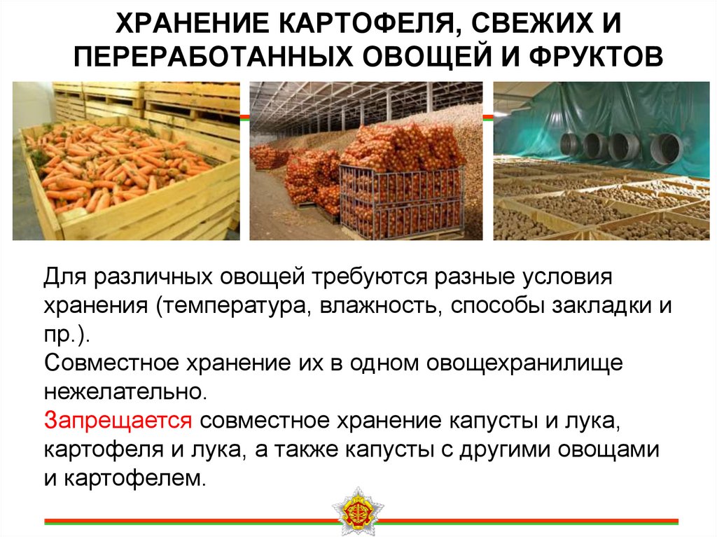 ХРАНЕНИЕ КАРТОФЕЛЯ, СВЕЖИХ И ПЕРЕРАБОТАННЫХ ОВОЩЕЙ И ФРУКТОВ