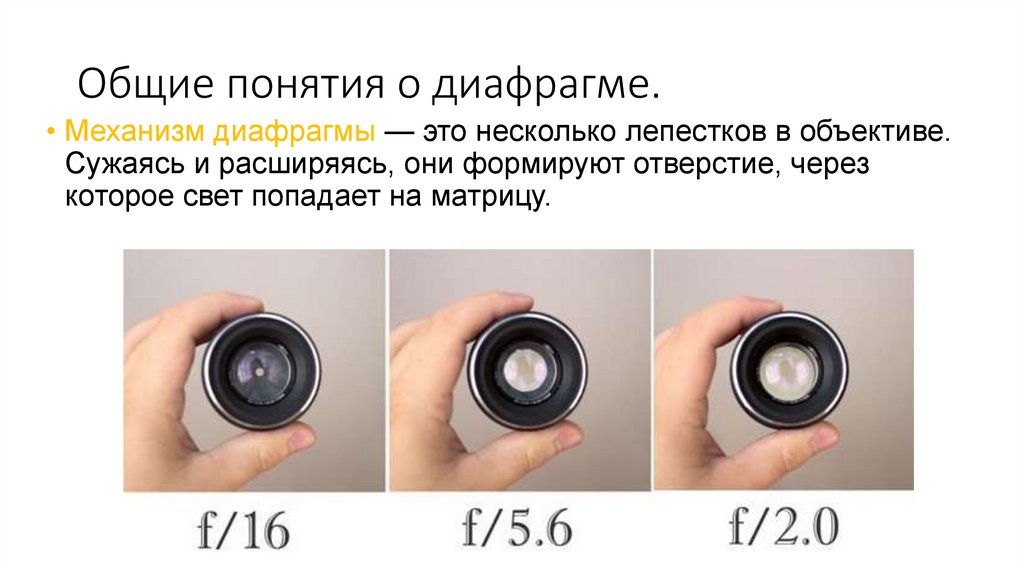 Общие понятия о диафрагме.