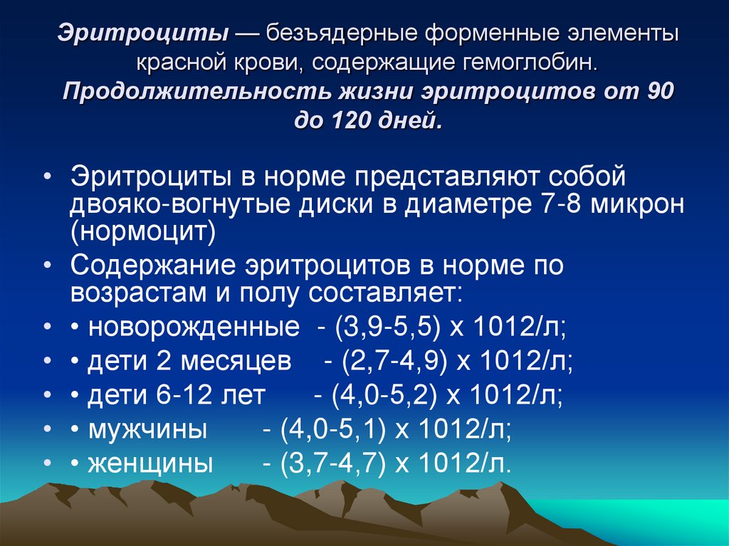 Эритроциты — безъядерные форменные элементы красной крови, содержащие гемоглобин. Продолжительность жизни эритроцитов от 90 до