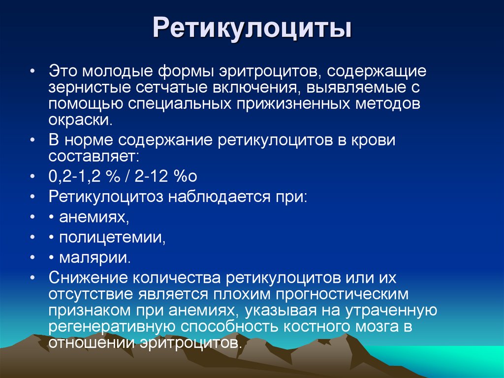 Ретикулоциты