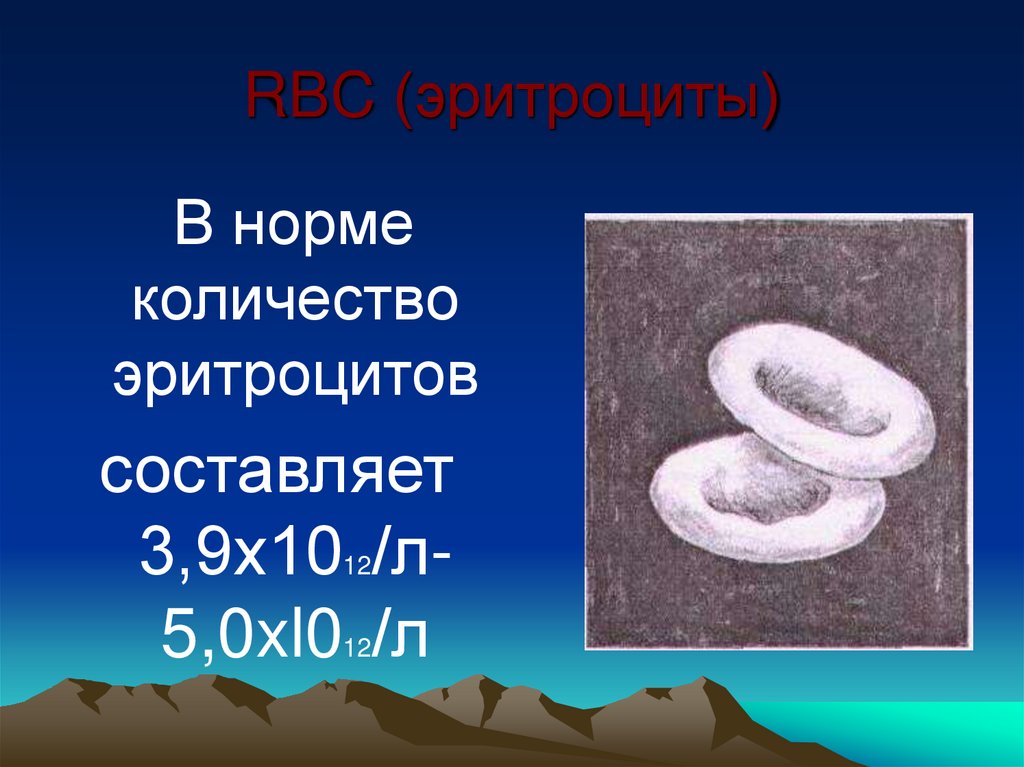 RBC (эритроциты)