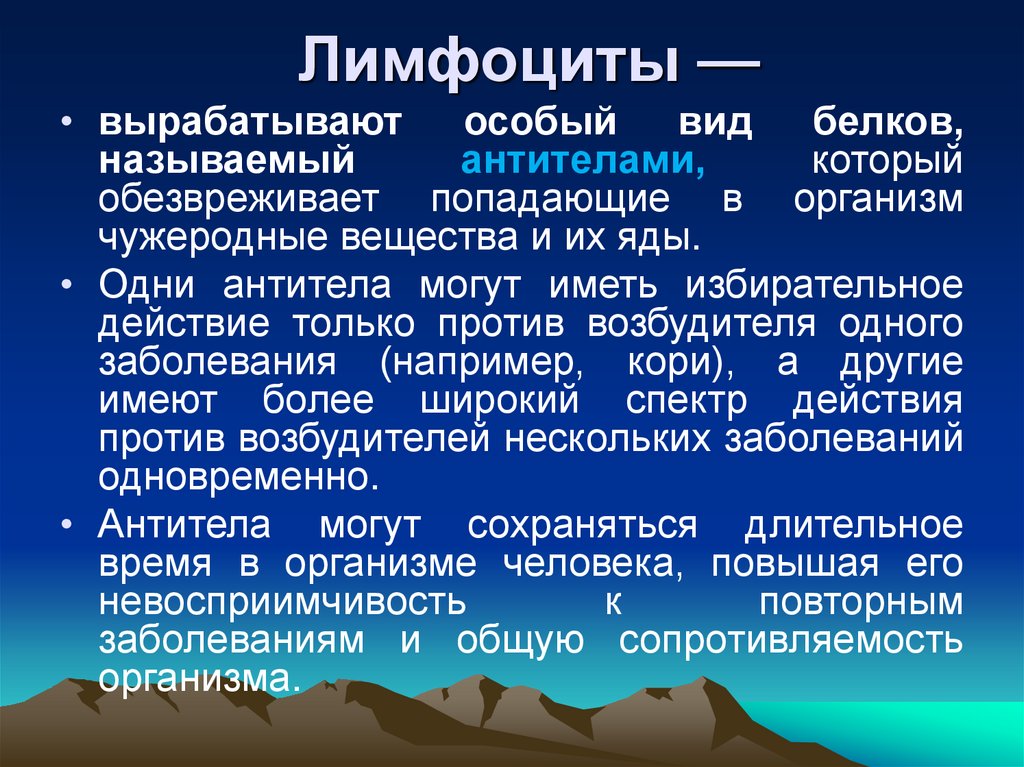 Лимфоциты —