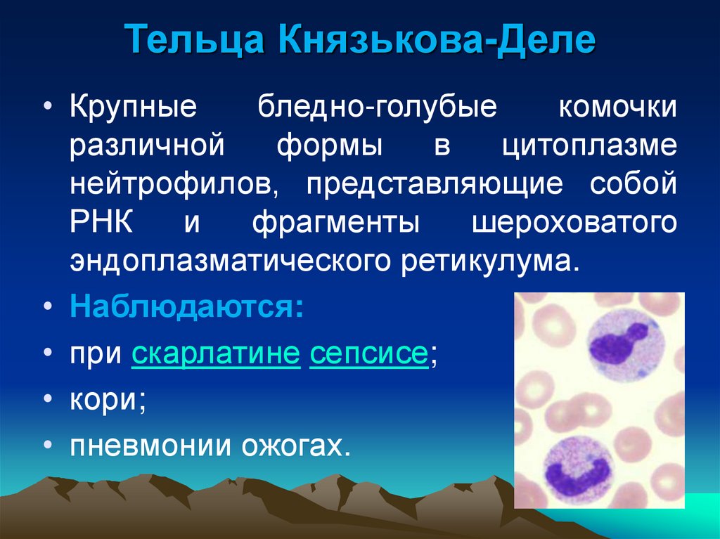 Тельца Князькова-Деле