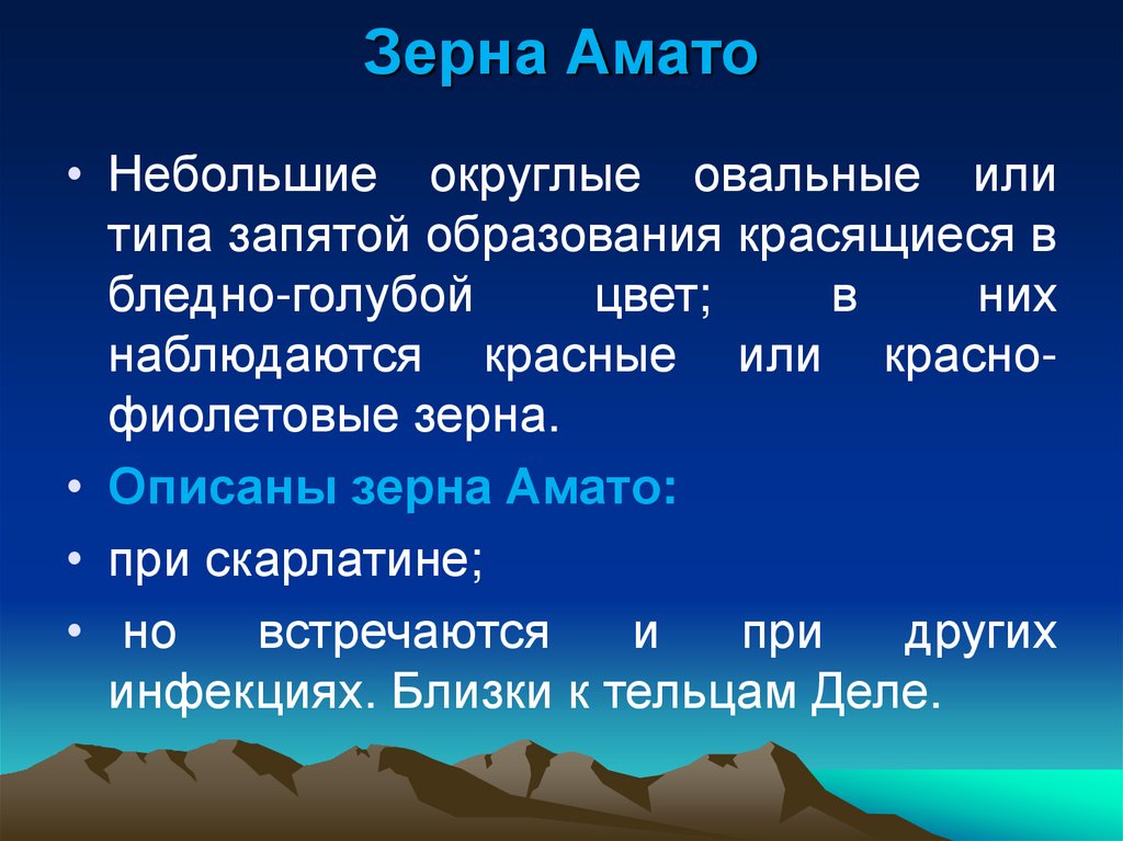 Зерна Амато