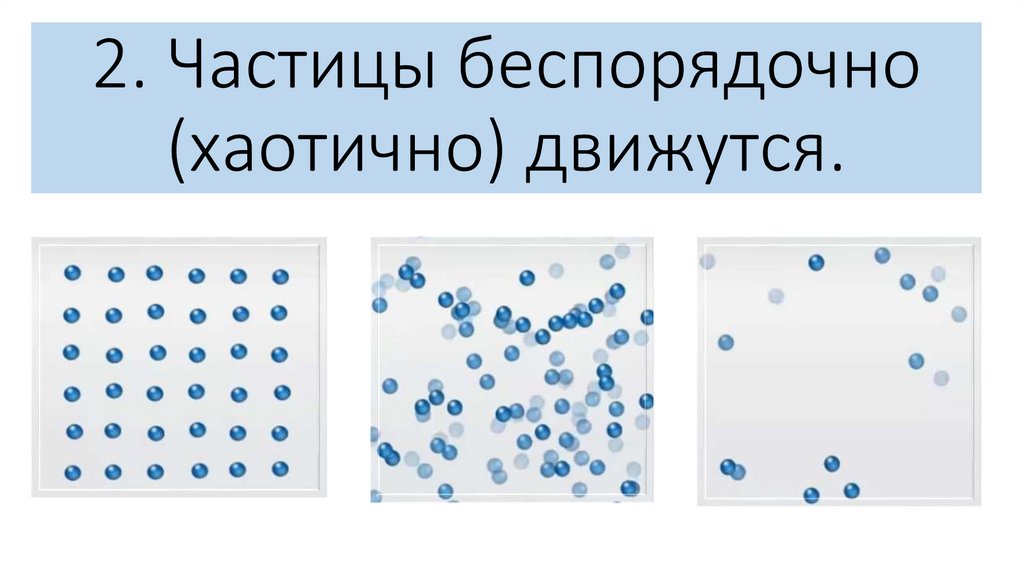 2. Частицы беспорядочно (хаотично) движутся.