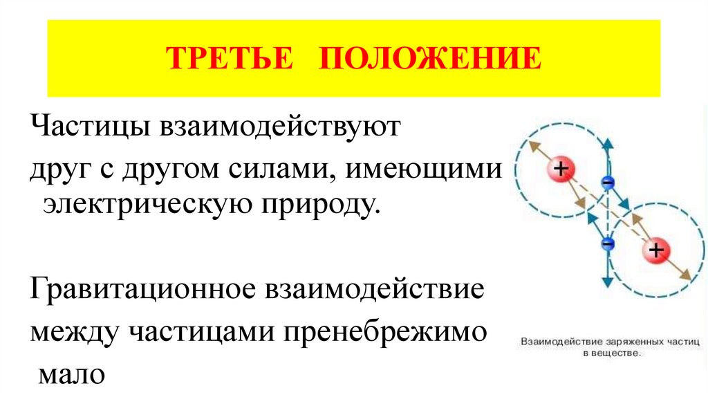 ТРЕТЬЕ ПОЛОЖЕНИЕ